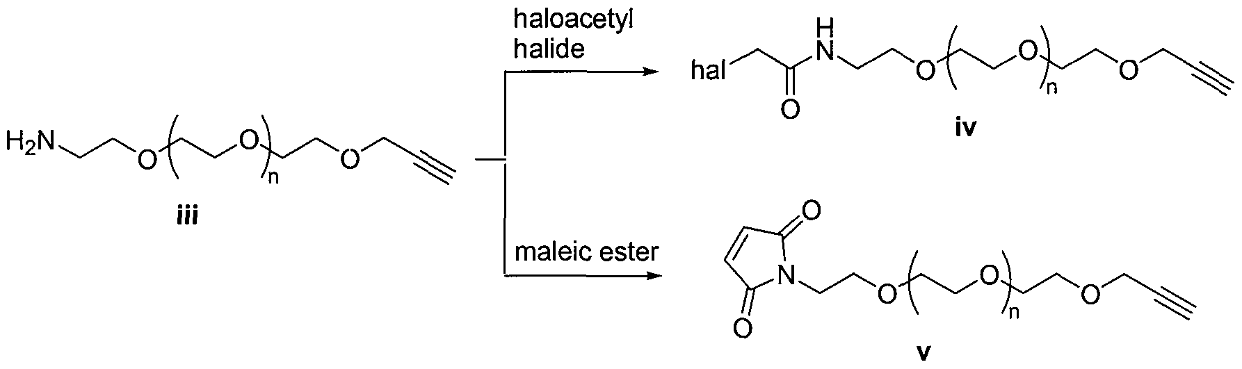 Figure imgf000016_0002