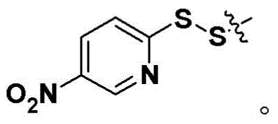 Figure BDA0003135424430000863