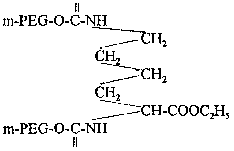 Figure imgf000030_0002