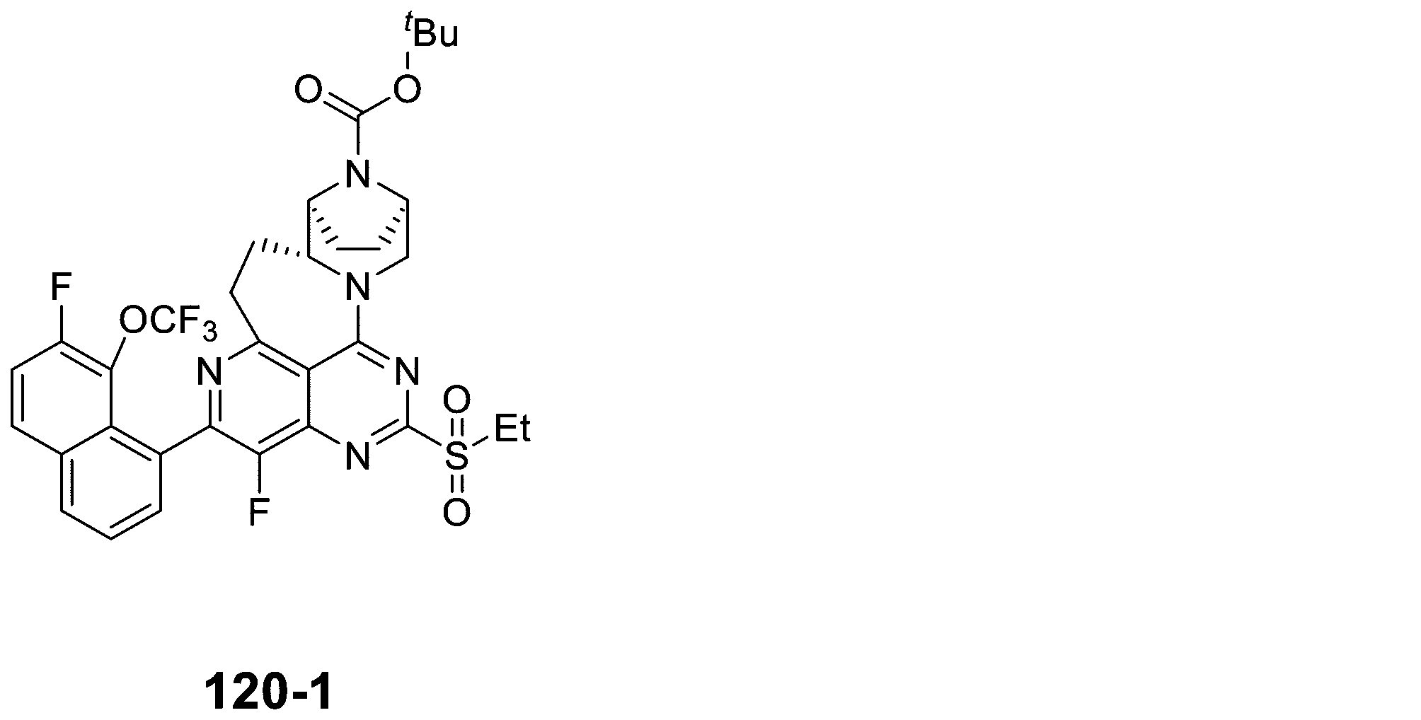 Figure 2025513258000432