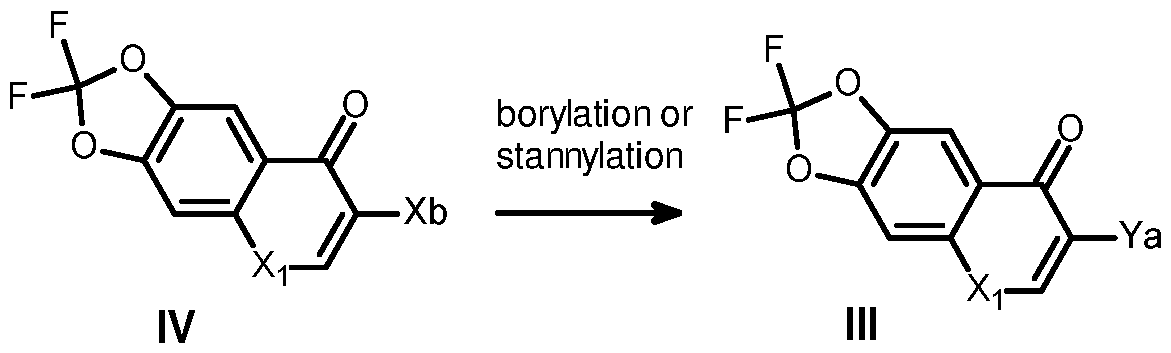 Figure imgf000019_0001