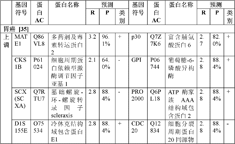 Figure BDA0000054185140000332