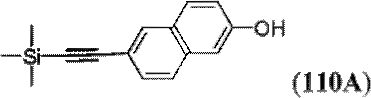 Figure BDA0000083236130002872