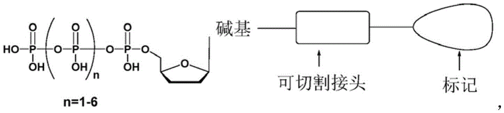 Figure BDA0003538717920000821