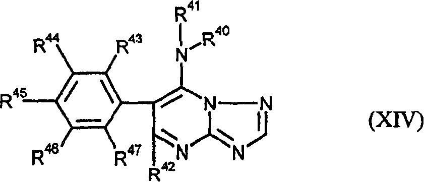 Figure A2004800312060011C2