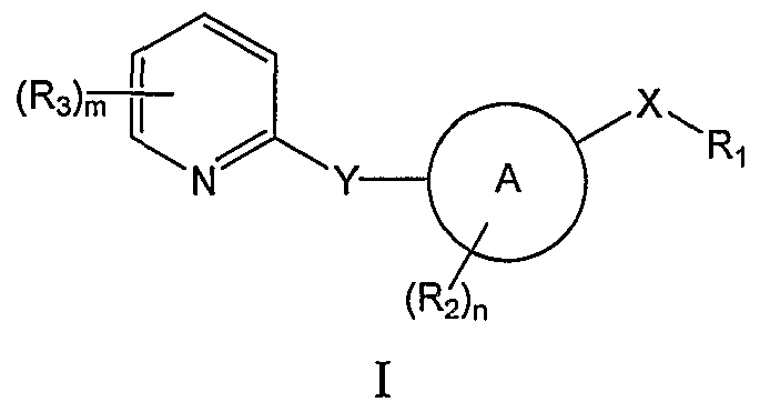 Figure imgf000004_0001