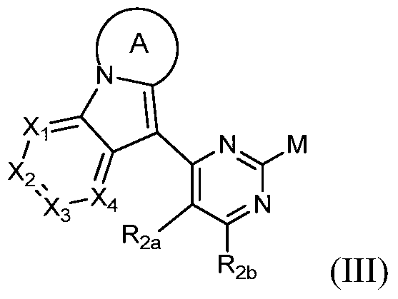 Figure PCTCN2016106862-appb-000006