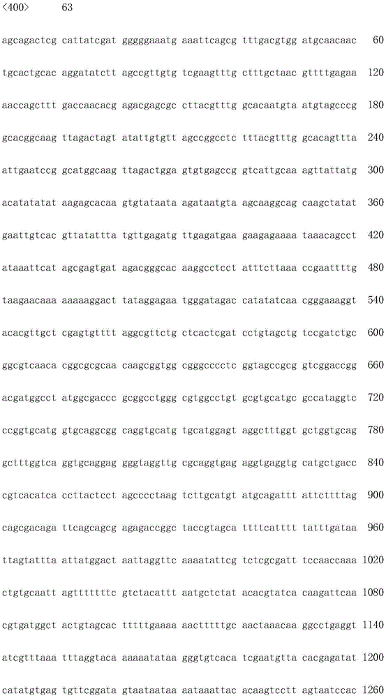 Figure IDA0001706936810000991