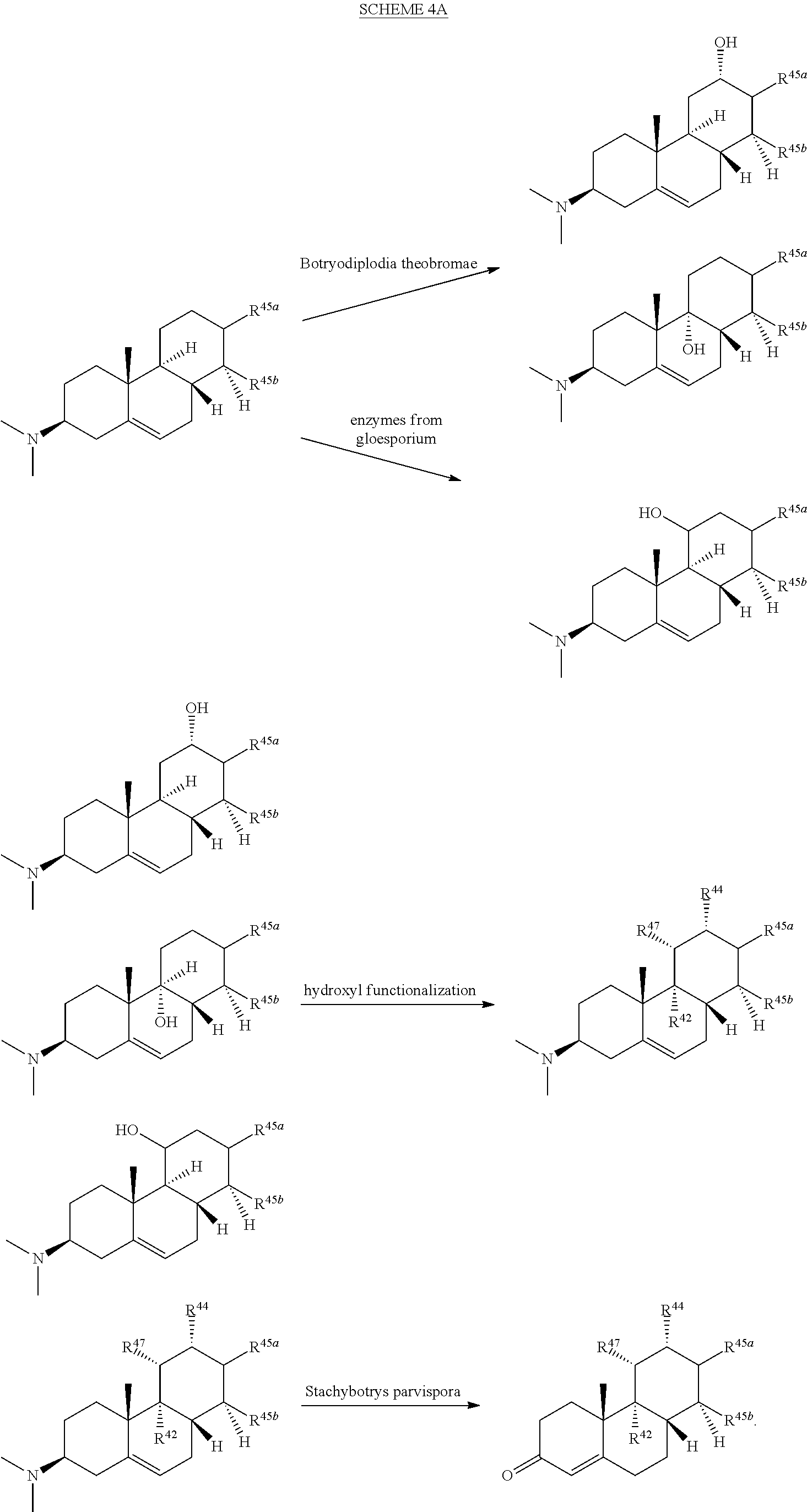Figure US20140228333A1-20140814-C00062