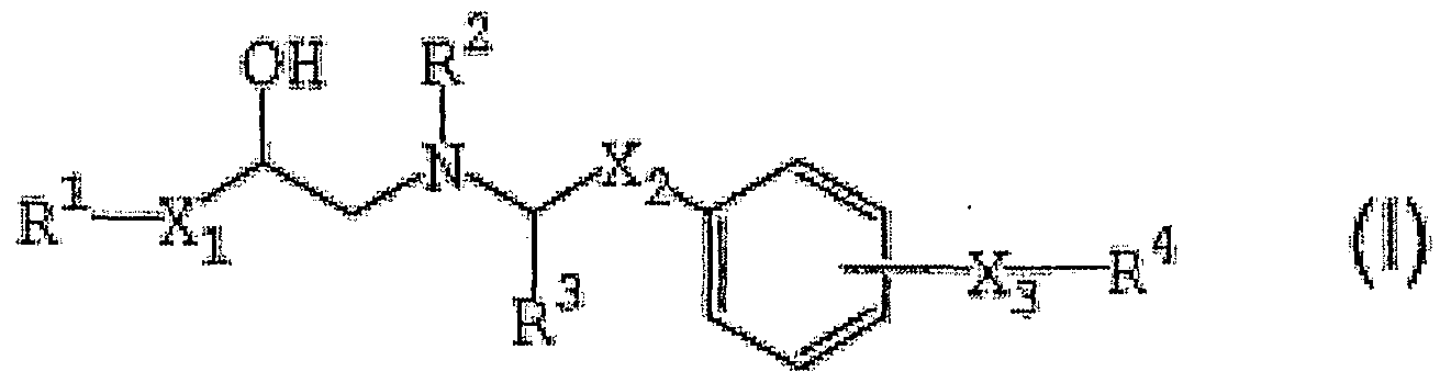 Figure imgf000004_0002