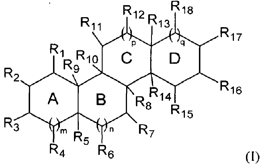 Figure imgf000011_0001
