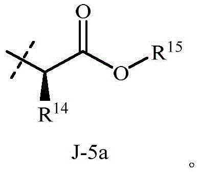 Figure BDA0002715387360000113
