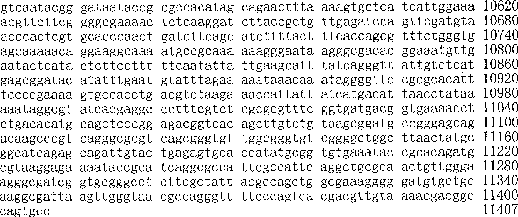 Figure A200780009494D01851