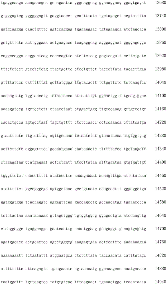 Figure IDA0003936212790000301