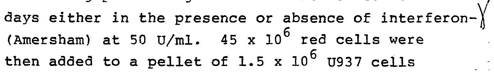Figure imgf000022_0001