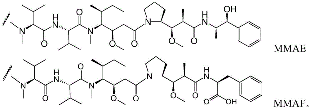 Figure FDA0003098573150000071