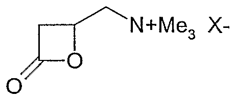 Figure imgf000004_0001