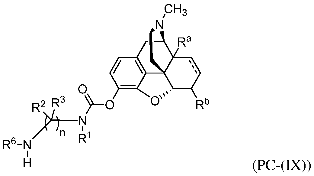 Figure imgf000010_0001