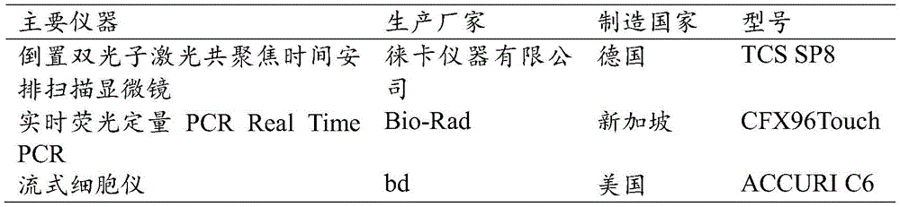 Figure BDA0002243399290000091