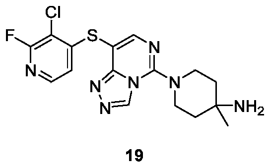 Figure PCTCN2019121844-appb-000058