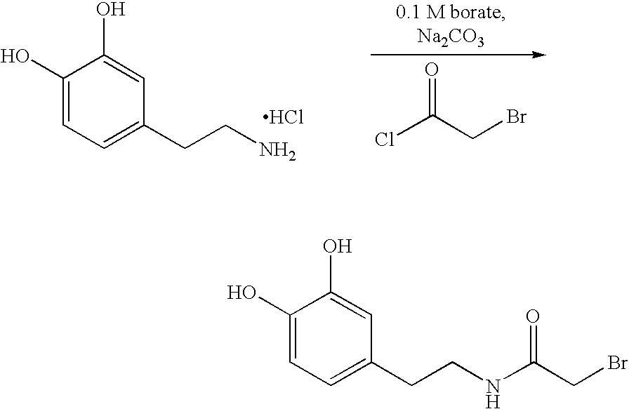 Figure US20060009550A1-20060112-C00025