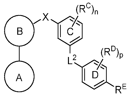 Figure imgf000005_0002