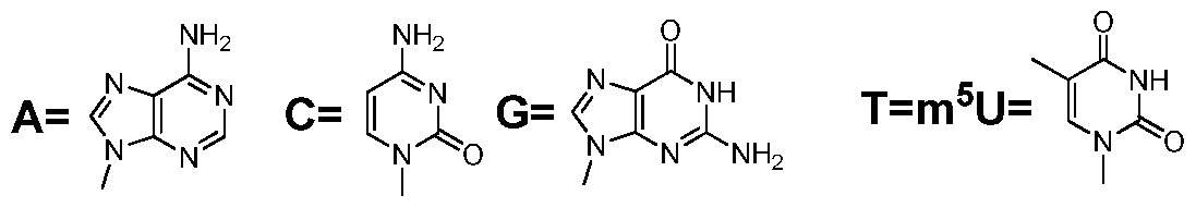 Figure imgf000066_0002