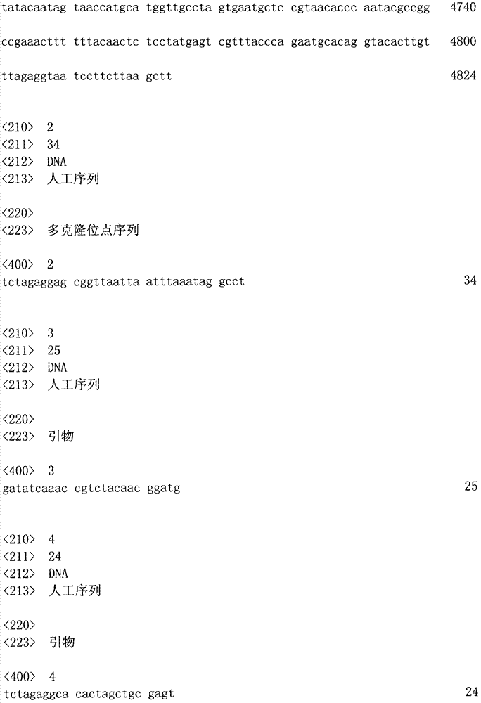 Figure ISA00000563930300051