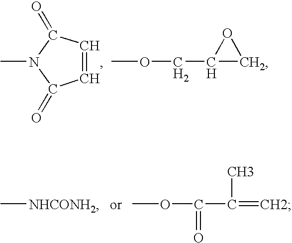 Figure US20030157391A1-20030821-C00006