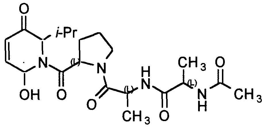 Figure imgf000029_0002