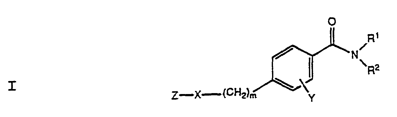 Figure imgf000004_0001