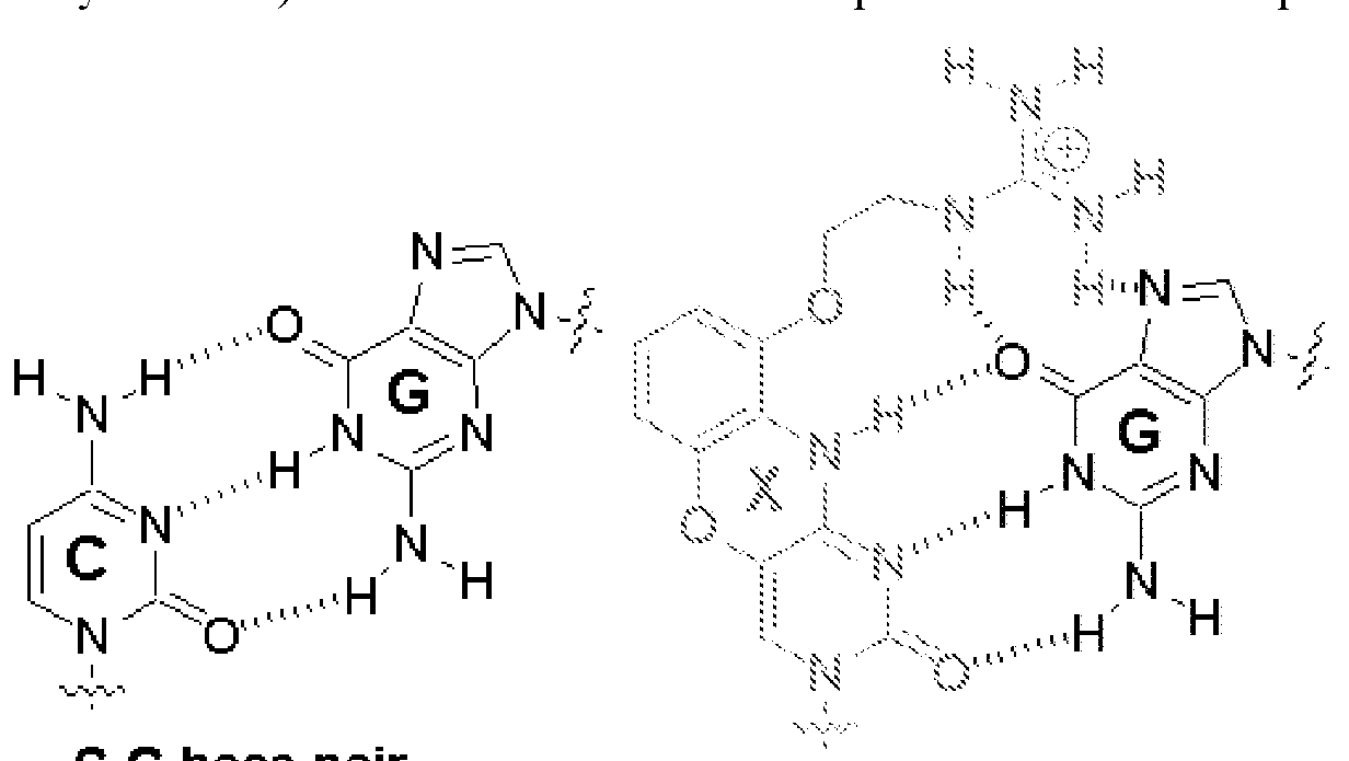 Figure imgf000028_0001
