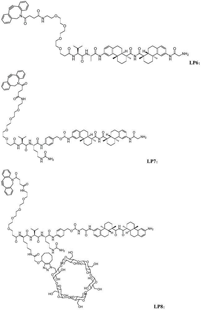 Figure BDA0003169092350000881