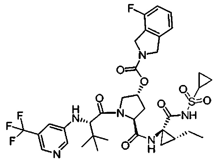 Figure 112009076339753-PCT00083