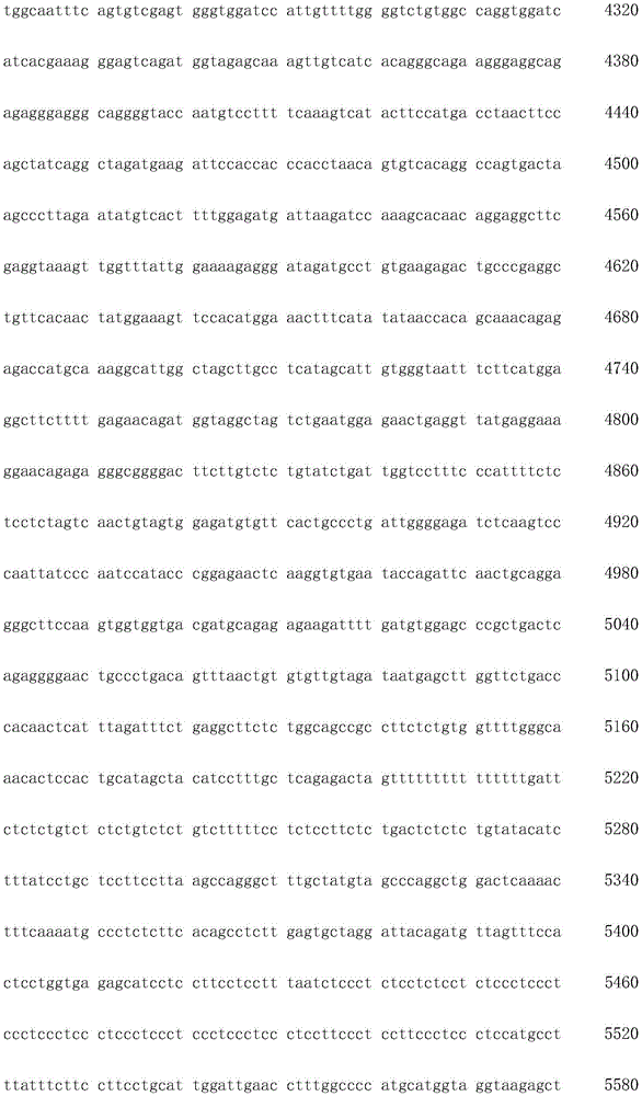 Figure IDA0003936212790000141