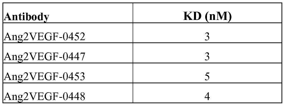 Figure imgf000096_0002