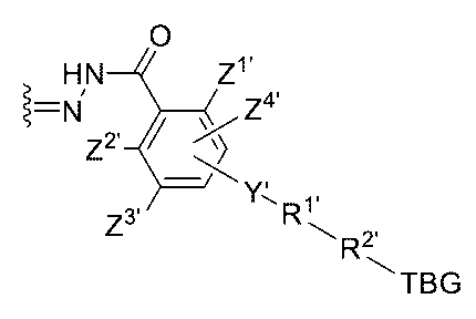 Figure 0007442821000004