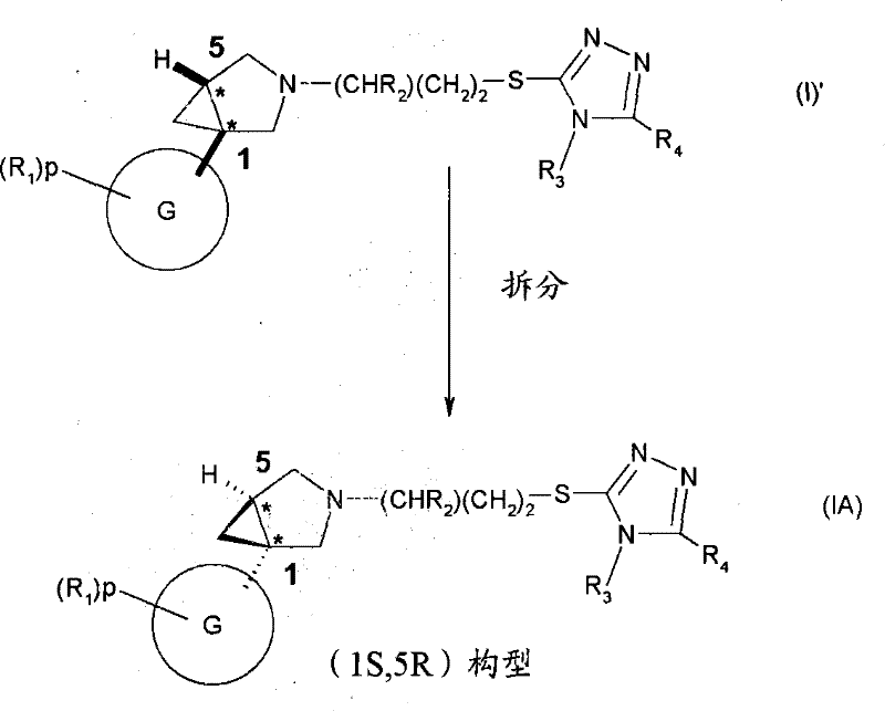 Figure S05812615520061025D000031
