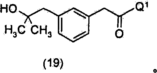 Figure BSA00000337359900064