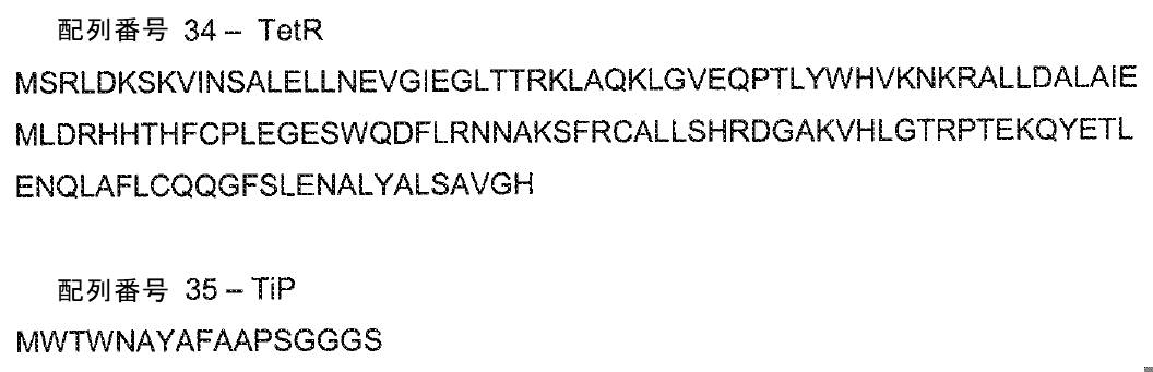 Figure 0007132249000019