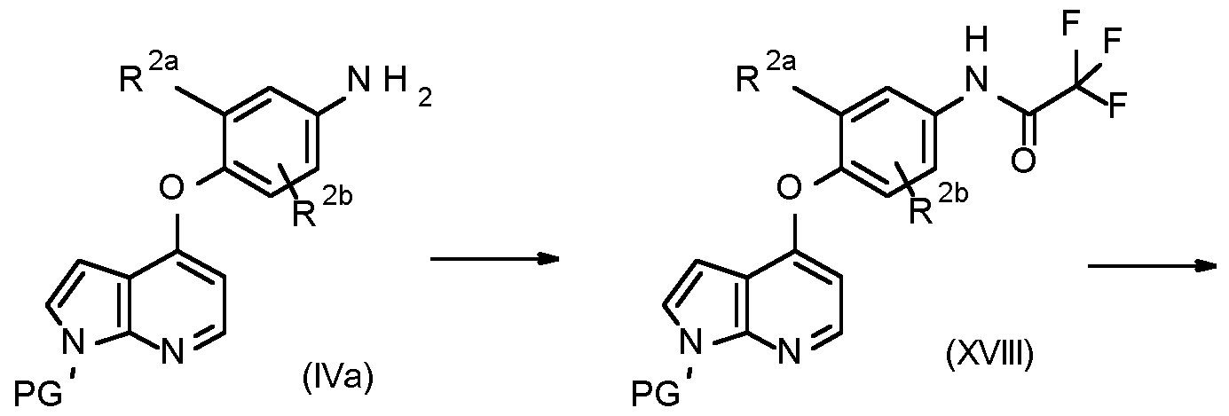 Figure imgf000082_0001
