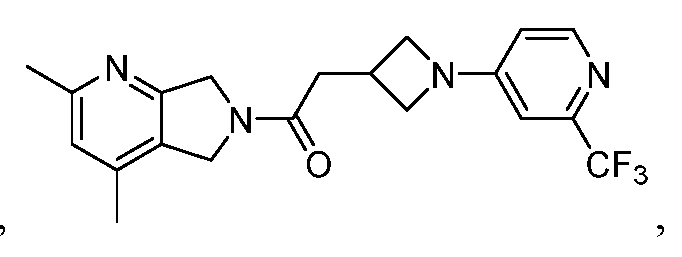 Figure imgf000010_0002