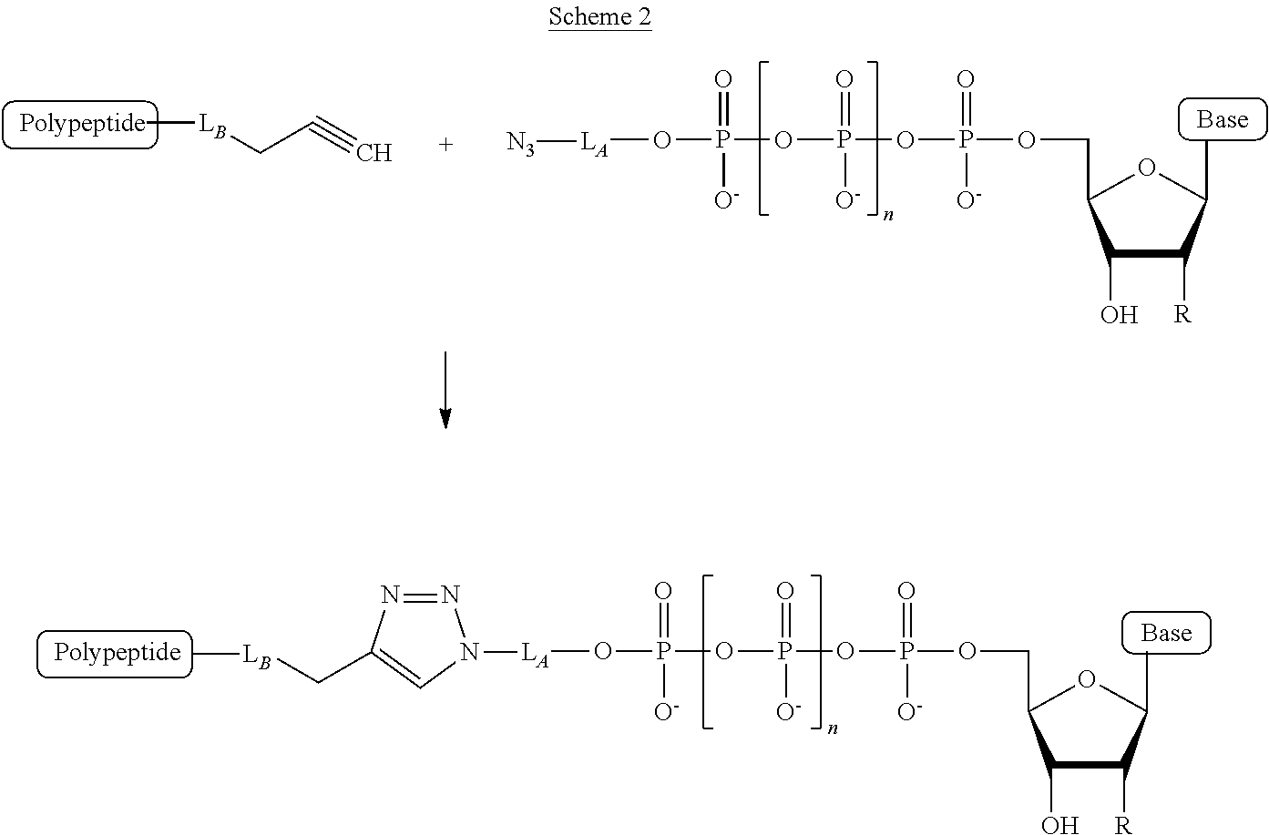 Figure US11739378-20230829-C00056