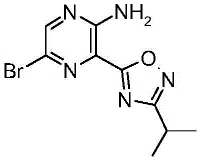 Figure BDA0001166151010003281