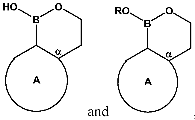 Figure imgf000026_0002