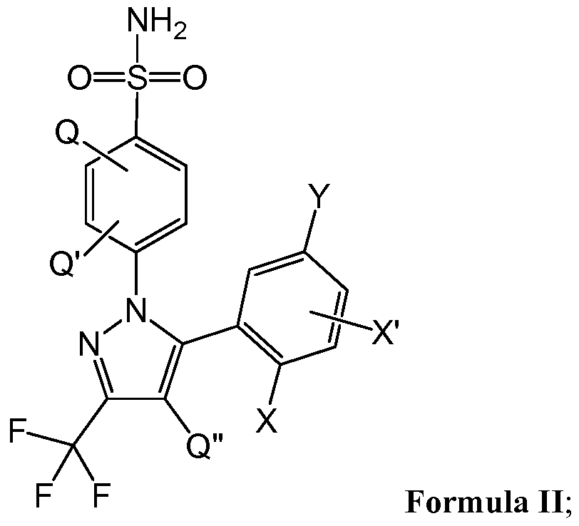 Figure imgf000005_0001