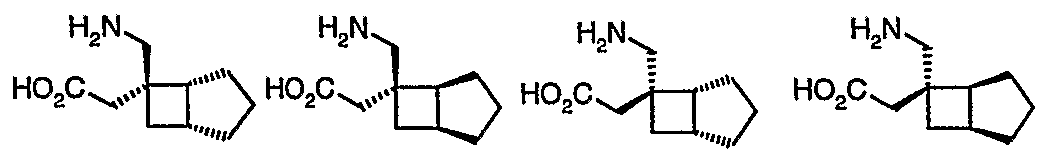 Figure imgf000003_0004