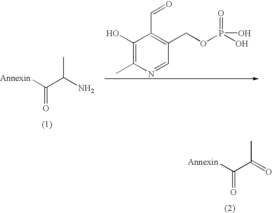Figure US20100099649A1-20100422-C00035