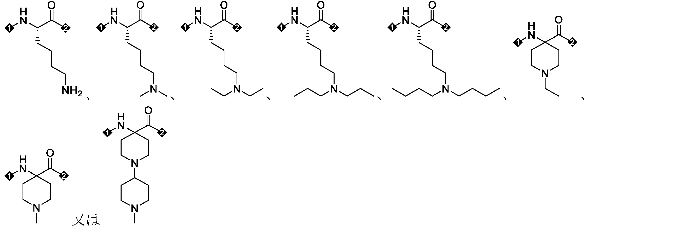 Figure 2025516873000157