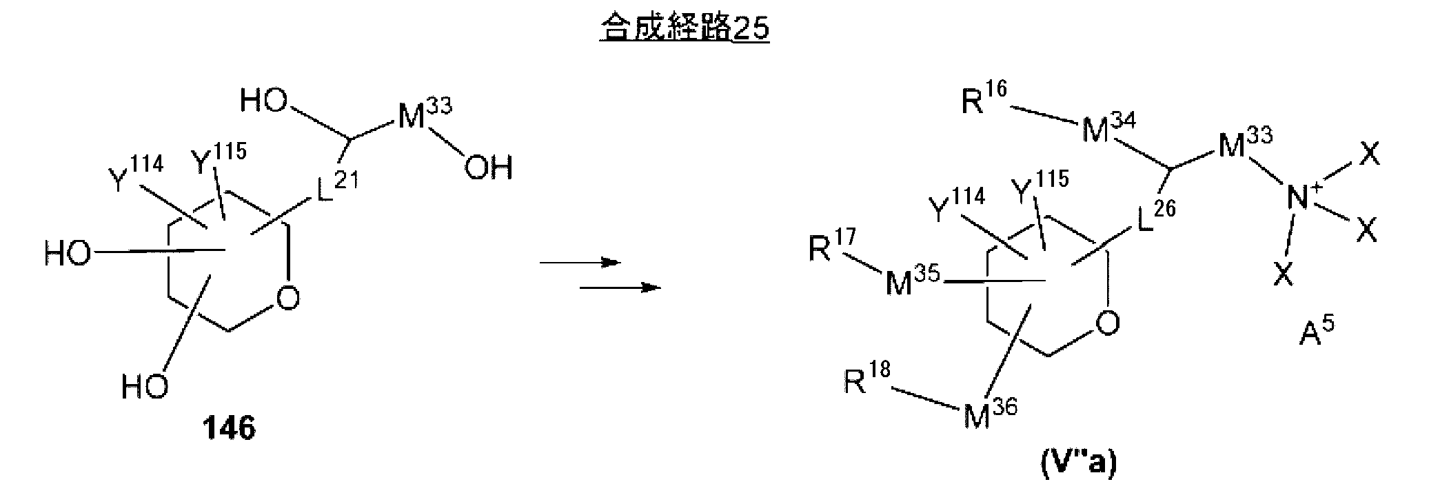 Figure JPOXMLDOC01-appb-C000118